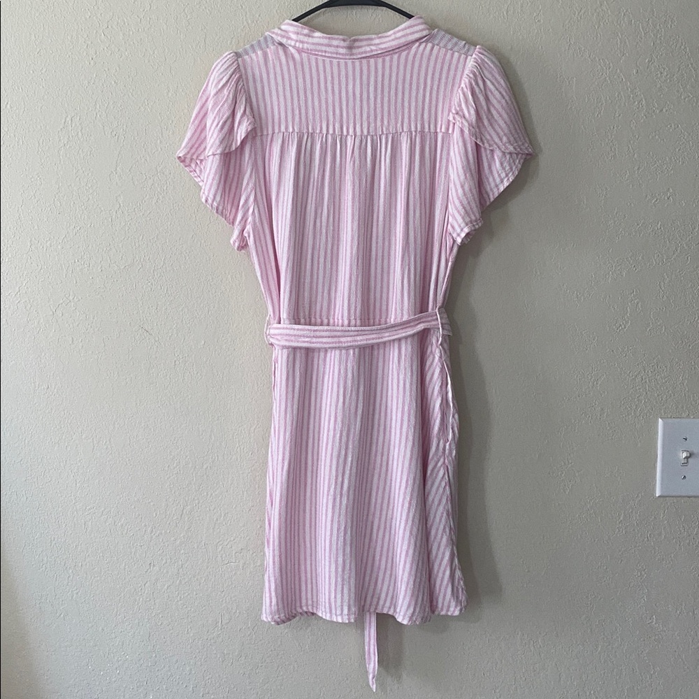 Alexis Pink and White Striped Button Mini Dress - Picture 12 of 14